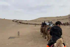 敦煌鸣沙山景区回应“骆驼体力不支”：项目可接散客，暂不接团队图片