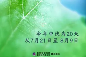 节令之美丨迎中伏，吃碗“二伏面”图片