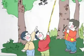 当代散文|金蝉的诱惑图片