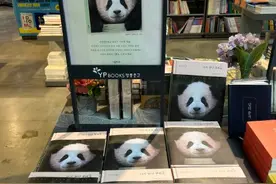 福宝写真在韩国热销图片