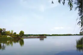 新蔡县：打造群众满意“幸福湖”图片