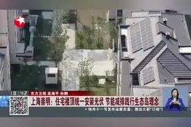 崇明这个小区的屋顶能“赚钱”图片