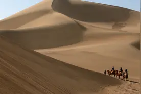 甘肃鸣沙山千头骆驼“罢工”？景区：出于安全、环境原因作了调整图片