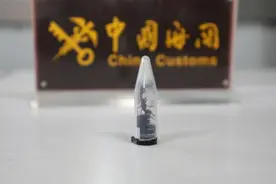 果然视频｜青岛截获世界上毒性最强的蚁类之一！长达3厘米图片