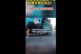 果然视频|大货车整车都很干净，唯独车牌有泥巴，交警一查不简单图片