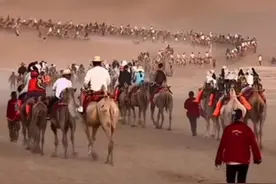 敦煌骆驼集体“罢工”？景区回应：为清理驼道，目前已恢复正常运营图片