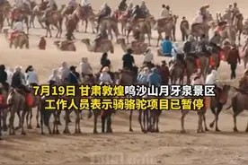 体力不支，骆驼集体“罢工”？敦煌景区回应；这个夏天，你在哪里人从众？图片