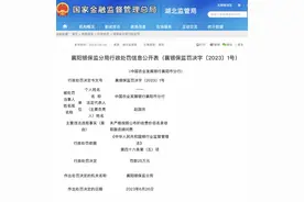 未按公布收费价目名录收取融资顾问费 中国农业发展银行襄阳市分行被罚25万图片