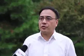 克服“冷”“热”两大考验 山东小麦丰收这样“抢”出来图片