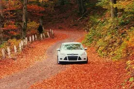 生活处处桃花源，微笑便是水云间图片