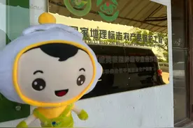 脆、香、糯、甜……金山这个瓜，尝过一口就忘不掉！图片