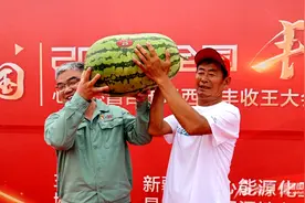 老龙河瓜王争霸赛 首个“瓜王”诞生了图片