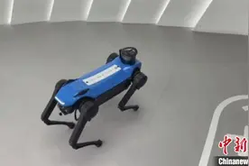 “机器狗”、智能喷涂机器人、MR眼镜……盖房子用上了这些“黑科技”图片