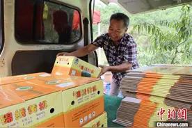 枝头结出“致富果” 江西广昌黄桃迎丰收图片