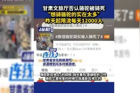 甘肃文旅厅否认骆驼被骑死：“想骑骆驼的实在太多”，昨天起限流每天12000人图片