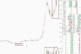 二连板后放量跌停，中马传动盈利能力较弱但股价已翻倍图片