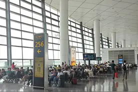 暑运前20天，郑州机场旅客吞吐量突破165万人次图片