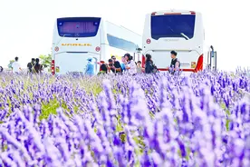 欧洲航线恢复缓慢，签证申请大量积压，多国都在问：中国团客去哪了？图片