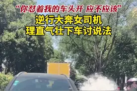 “你怼着我的车头开，应不应该”逆行大奔女司机理直气壮下车讨说法…图片
