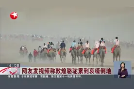 网友发视频称敦煌骆驼累到哀嚎倒地 官方回应图片