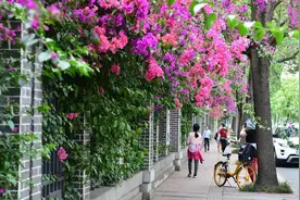 好大学没围墙？高校围墙该不该拆？专家：关键是突破无形的墙图片