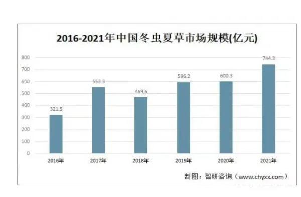 种植虫草的样子的图片大全 2026年种植虫草的样子的图片大全图解
