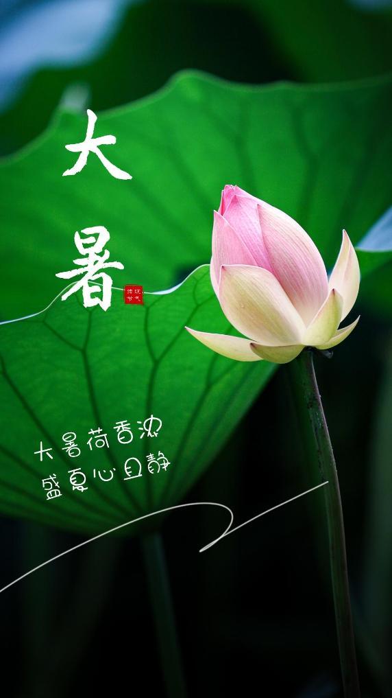 诗歌有话说·节气｜大暑：赤日几时过，清风无处寻