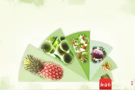 海南水果新秀登场！图片