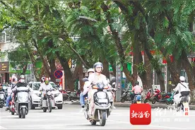 植物界“理发师”：巧手让植物重焕新生图片