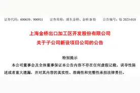 上海金桥出口加工区房地产发展有限公司出资32.3亿元新设项目公司图片