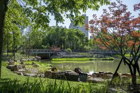 现有公园193座、绿道267公里，有地搭帐篷……闵行今年还有大动作丨幸福闵行图片