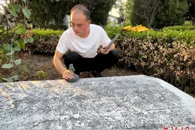 河北邢台出土距今400余年石碑 见证遍野莲花盛景图片