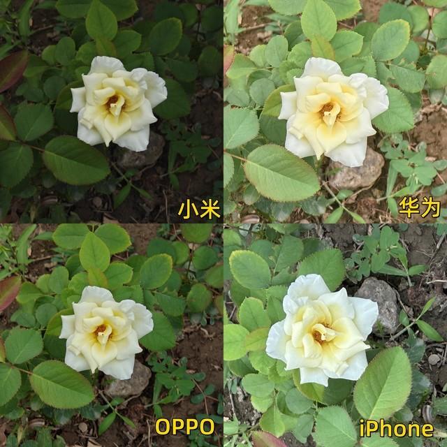 �콢�ֻ�����������Աȣ�iPhone����е�ԩ��