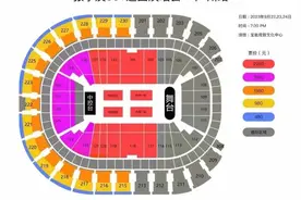 抢票焦虑持续！资深业内人士：“打黄牛”不能只盯着黄牛本身图片