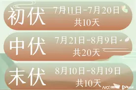 三伏天怎么吃？营养科医生：多吃酸味和苦味食物 清淡为宜图片