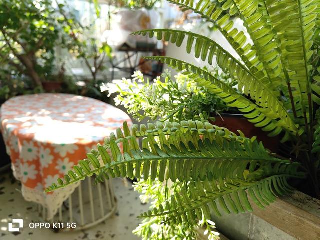 OPPO K11���⣺�ж��ֻ�Ҳ�������콢������Ч��