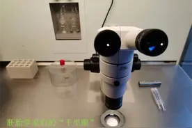 试管婴儿就是从试管里出生的孩子吗?图片