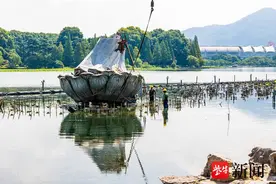 南京玄武湖“荷花仙子”雕塑将原样恢复，年内回归图片