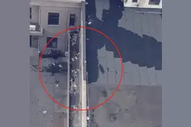 网传天津一小区十几只猫被从高层扔下死亡，警方：已接到报案图片