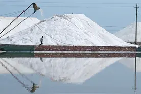 盐：“心被掏空，也许更咸”图片