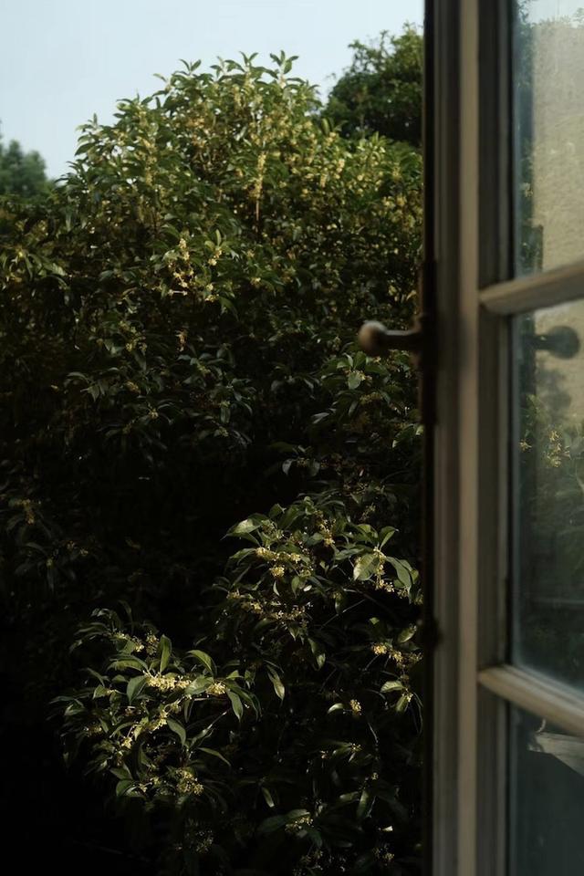 ��������еļҢ�