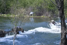 作家在线|孙会昌：尊重图片