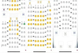 国际航班经济舱要付费选座？媒体调查图片