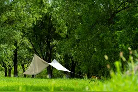 7月29日起，北京世园公园北园将免费开放图片