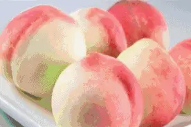 我最爱的山东特产|咔滋一声，汁润满口！烟台苹果你值得拥有图片