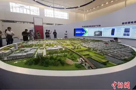 （高质量发展调研行）“网红”城市淄博的另一面图片