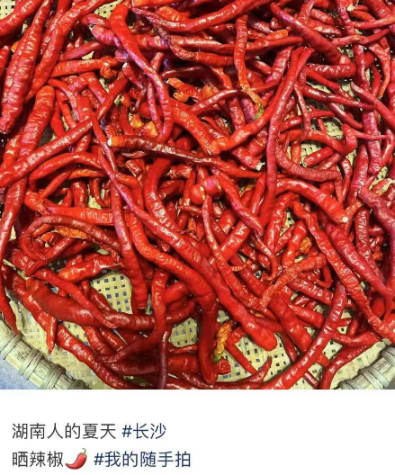 一边喊辣一边流口水！没有一个湖南人的“省饭”离得了它