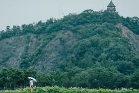 点开！收获超治愈的夏日小清新图片