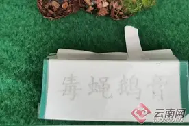 “超级马里奥”会变大？原来是吃了云南这种毒菌后产生的幻觉图片