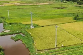 电杆种进田，农民怎么办？图片